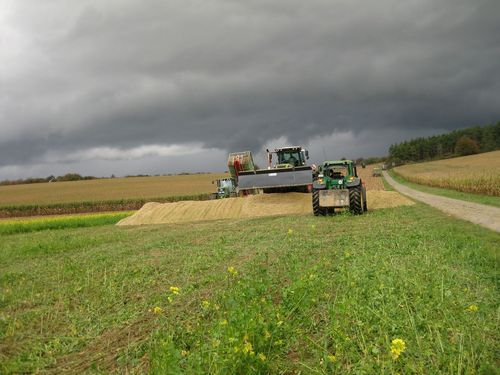 Click on the photo for the original