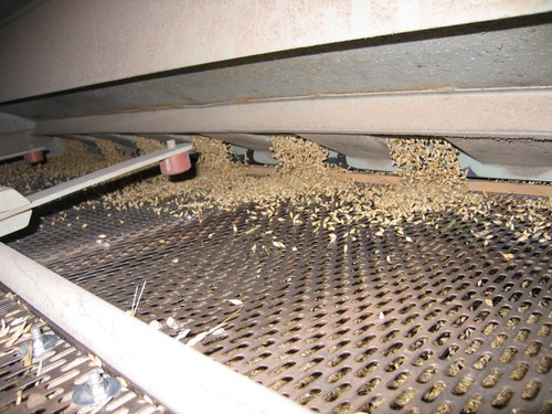 Click on the photo for the original