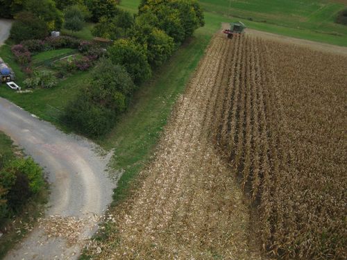 Click on the photo for the original