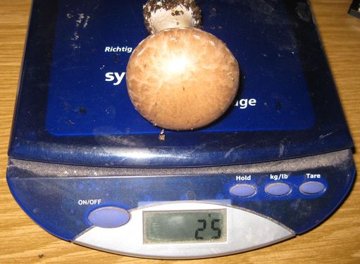 Click on the photo for the original