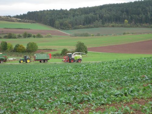 Click on the photo for the original