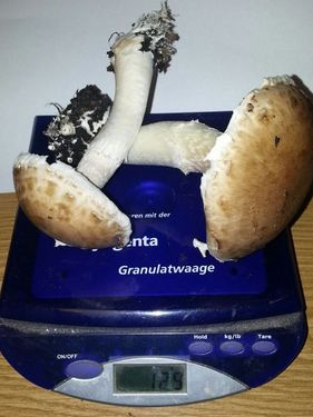 Click on the photo for the original