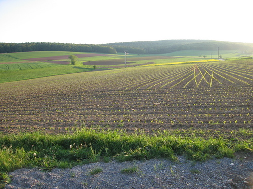 Click on the photo for the original