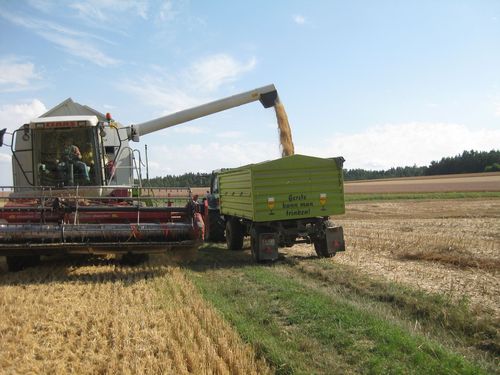 Click on the photo for the original