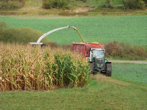 Click on the photo for the original