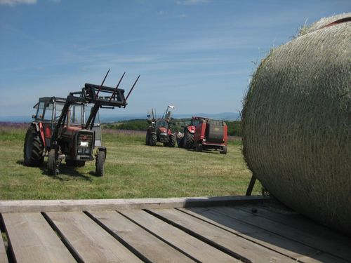 Click on the photo for the original