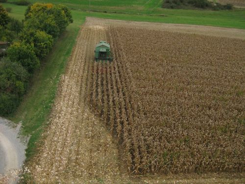 Click on the photo for the original