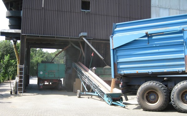 Click on the photo for the original