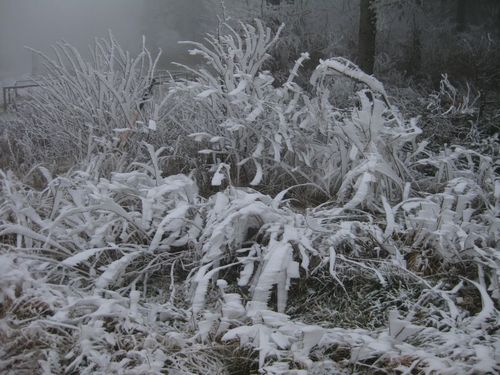 Click on the photo for the original