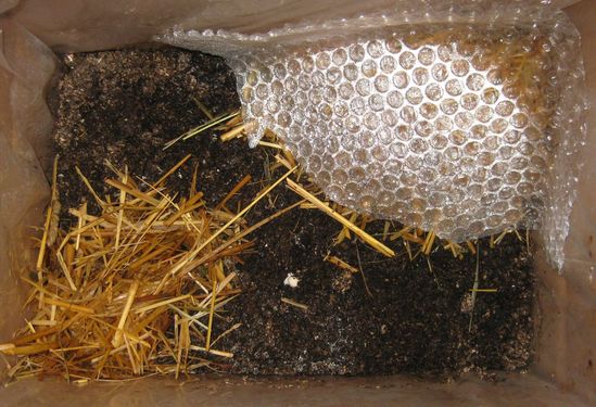 Click on the photo for the original