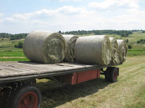 Click on the photo for the original