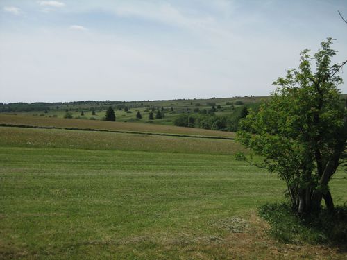 Click on the photo for the original