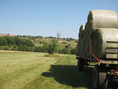 Click on the photo for the original