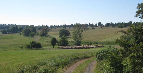 Click on the photo for the original