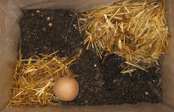 Click on the photo for the original