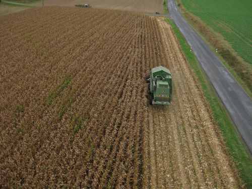 Click on the photo for the original