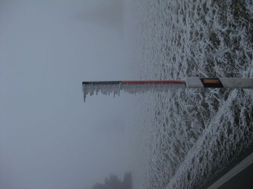 Click on the photo for the original